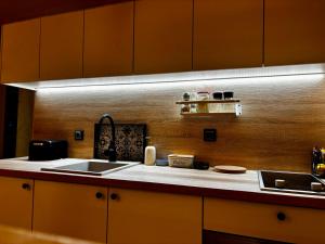 a kitchen with a sink and a counter top at Love Cabin in Slatina Varoš