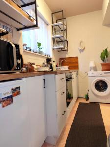 a kitchen with a washing machine and a washer at Mila Apartment in Skopje