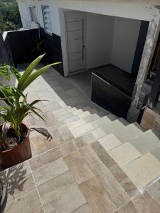 a patio with a potted plant on the floor at Spacieux logement in Lamentin