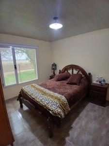 a bedroom with a bed with a leopard print bedspread at Sudecada in Toay