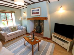 a living room with a couch and a fireplace at Mordon Moor Cottage in Stockton-on-Tees