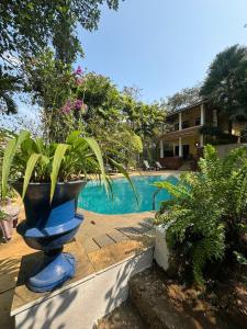 a blue vase with plants in it next to a pool at Serendipity House Goa in Nerul