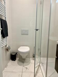 a bathroom with a toilet and a glass shower at Luxury Apartment in Central Geneva in Geneva +2 photos