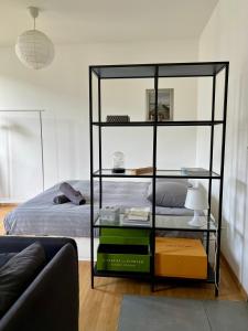a bedroom with a book shelf next to a bed at Luxury Apartment in Central Geneva in Geneva