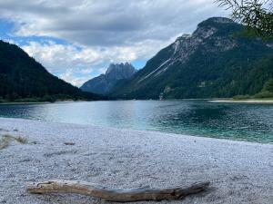a log on the shore of a body of water at Apartma Confine in Rateče