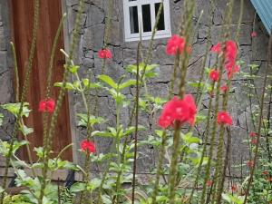a garden with red flowers in front of a building at Saruketha Cabana in Kegalle +2 photos