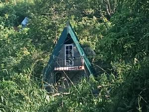 a small green house in the middle of a forest at Saruketha Cabana in Kegalle