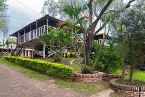 a house with a palm tree in front of it at Cabañas Bella Vista in Bella Vista +25 photos