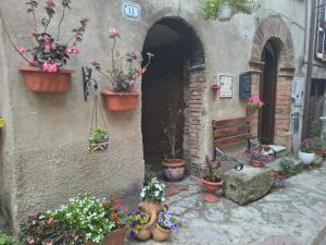 an entrance to a building with potted plants and flowers at A casa di Rita in Dunarobba