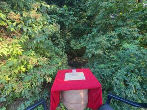 a table with a red table cloth on top of it at Acorn Creek Tented Camp in Nidda
