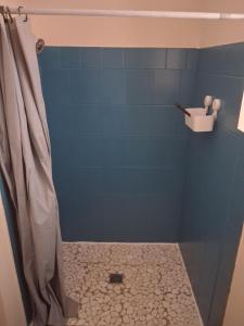 a bathroom with a shower with a blue wall at Agréable Maison in Le Magny