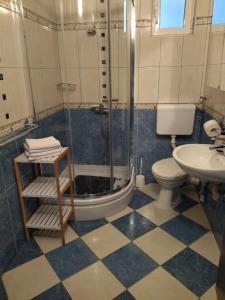 a bathroom with a shower and a toilet and a sink at Apartments Maja i Mate in Sućuraj +35 photos