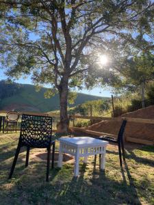 a bench and a table in front of a tree at Paraitinga Glamping in São Luiz do Paraitinga