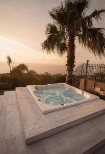 ein Whirlpool neben einer Palme in der Unterkunft Suite Pizzo jacuzzi rooms in Pizzo