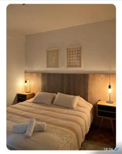 a bedroom with a large bed and two night stands at La mejor opcion en BA in Buenos Aires