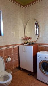 a bathroom with a toilet and a mirror at Marilyn Apartments in Smederevo +36 photos