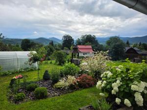a garden with flowers and a building in the background at Ya VDOMA in Kozmacz