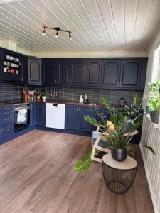 a kitchen with blue cabinets and a table with plants at Scenic Private House Surrounded by Nature in Sæbø