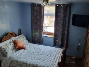 a bedroom with a bed and a window at Brynhyfryd in Llanaelhaiarn
