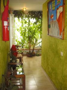 a hallway with plants and a painting on the wall at Hostal Cassa in Cassà de la Selva