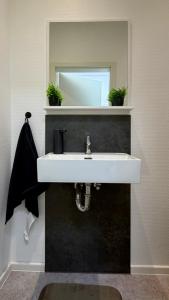 a bathroom with a white sink and a mirror at MeBa Living Business Suite Mönchengladbach in Mönchengladbach +9 photos