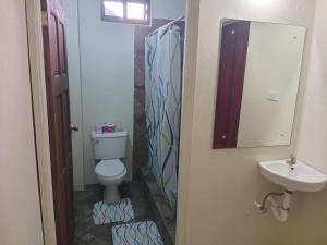 a bathroom with a toilet and a sink at Parakeet Hideaway in Mason Hall