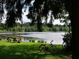 a bike parked next to a bench next to a lake at Pension Mittelallgäu in Betzigau