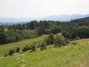 a green field with trees and mountains in the background at Pension Mittelallgäu in Betzigau