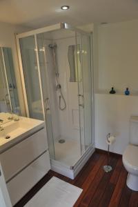 La salle de bains est pourvue d'une douche et de toilettes. dans l'établissement Gite de la Ruaudais, à Bréal-sous-Montfort