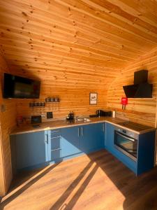 a kitchen with blue cabinets in a wooden cabin at Blackstairs Glamping Pod 1 in Killann +22 photos
