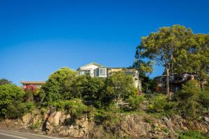 a house on top of a hill with trees at Holiday on Pacific in Tathra