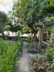 a path through a garden with trees and plants at Amed beach homestay in Ambat