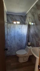 a bathroom with a toilet and a sink at Casa bosque arenal in Pucón