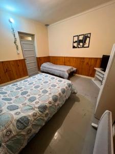 a bedroom with two beds and a television in it at Alojamiento LowCost San Rafael in San Rafael