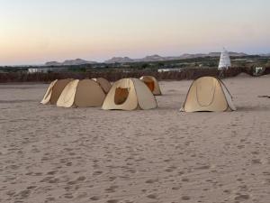 a row of tents sitting on a beach at مخيم همسات الصحراء in Siwa +25 photos