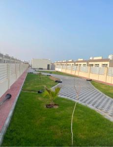 a small palm tree in the grass on a building at AlSeef 161 in Al Sharqiyah