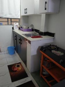 a small kitchen with a sink and a stove at Carley Studio apartment in Thika