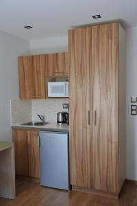 
a kitchen with a refrigerator, stove, sink and microwave at Elements Rooms & Apartments in Athens
