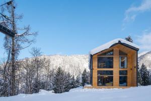 a cabin in the woods in the snow at THE OneThird HAKUBA Slopefront Villas in Hakuba