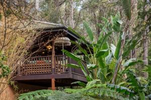 a tree house in the middle of a forest at Riveresque - Spa Bath - Forest Views in Margaret River Town