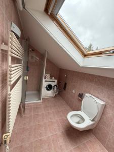 a bathroom with a toilet and a shower with a window at Elegant house in a dominant position in Tour de Treme +20 photos