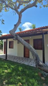 a tree leaning against a house at Chalé Renilton Turismo in Santo Amaro