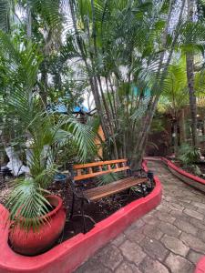 a wooden bench in a courtyard with palm trees at Cocos Cabañas Playa del Carmen Adults Only in Playa del Carmen