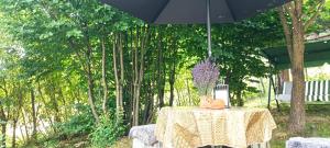 a table with an umbrella on top of it at Forest Hide Tiny House in Covasna