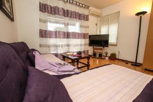 TV a/nebo společenská místnost v ubytování Apartments Nino