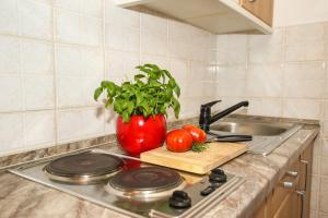 Kuchyň nebo kuchyňský kout v ubytování Apartments Nino