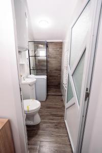 a small bathroom with a toilet and a sink at Mim's Home in Băile Herculane +29 photos
