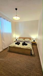 a bedroom with a large bed with two black objects on it at Appartement centre ville- cour- pkg proximité in Aurillac