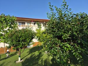 a person walking in a yard next to two trees at Pestele Ca Odinioară in Murighiol