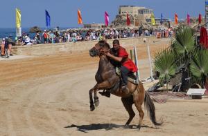 a man riding a horse on the beach at Cozy modern apartment in Hadera in H̱adera